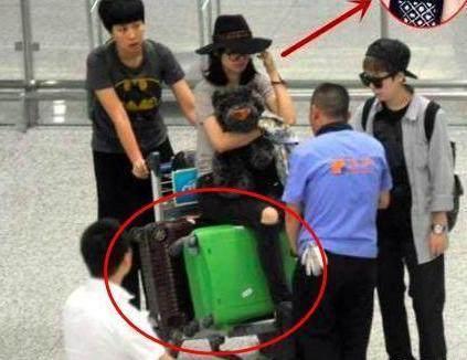 t019c580374171f9858.jpg?size=423x326