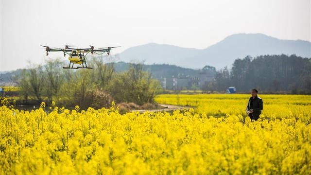 在未来,中国农村会消失吗?教授一番话,一针见