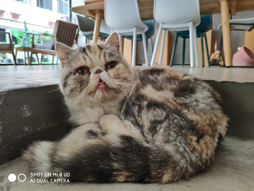 小米8 屏幕指纹版评测:旗舰的小升级