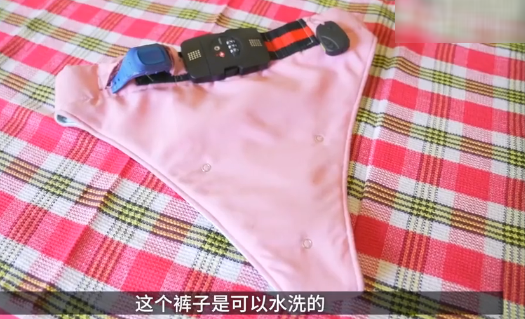 印度女大学生发明“防性侵内裤” 防弹布料加高科技色狼难得手