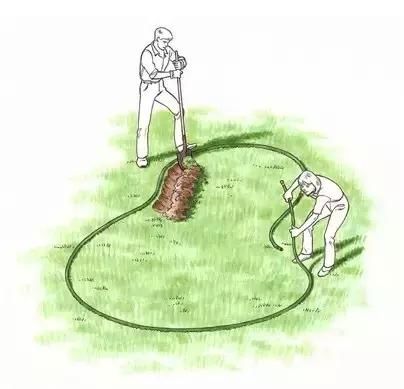 家庭园艺|庭院花园里的自然水池,这样来做 水景