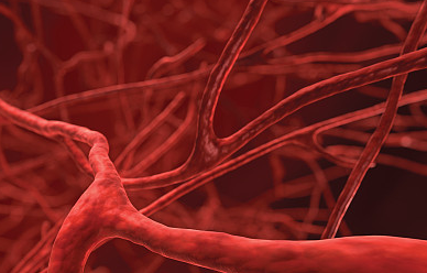 血管最怕堵每天吃点它 保证让血管干净如新