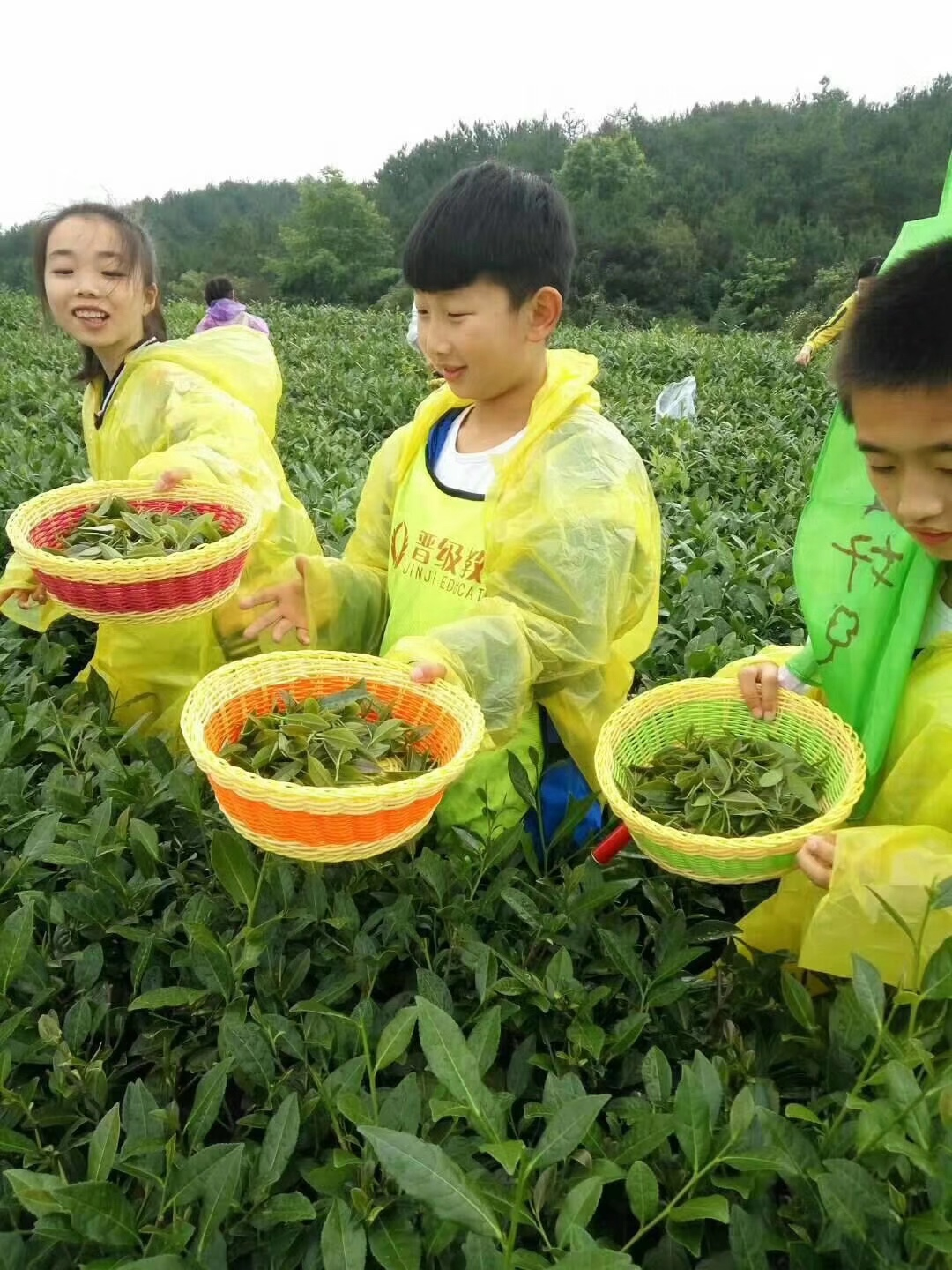 小学生托管班精品食谱