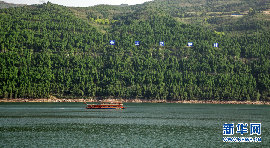 【美丽中国长江行】重庆：长江经济带里的“生态经”