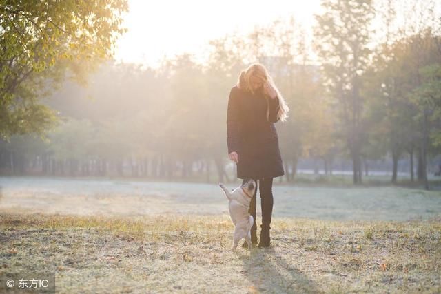 形容心情超级好的句子,简短优美,让你过目不忘