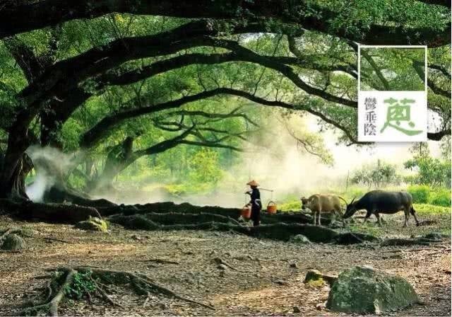 “中国美色·上”明信片。