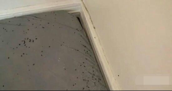 5岁孩子身上总是起红点,多次寻医无效,妈妈掀