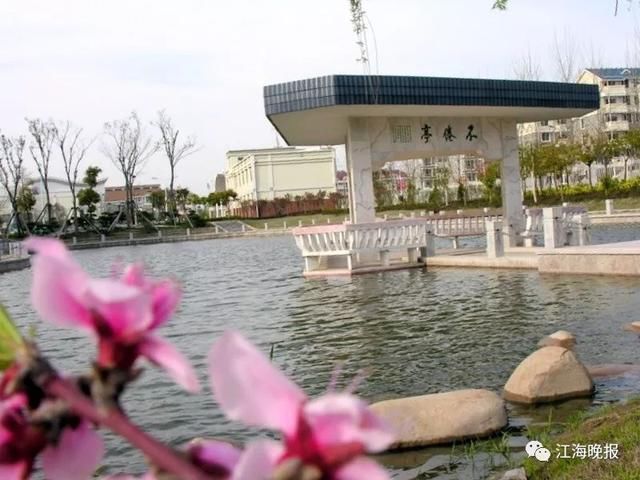 清华北大自主招生全国高中500强出炉!如皋这所