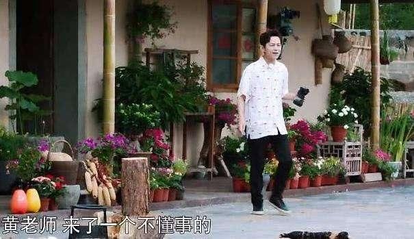 黄磊遇黄渤刁难,黄磊用文字游戏反套路黄渤,何