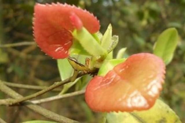 多情的人生,必然一路坎坷(感悟美文)