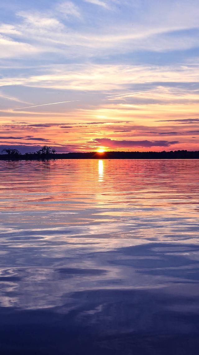 电脑上如何下载全网音乐?试试这个软件(免费)