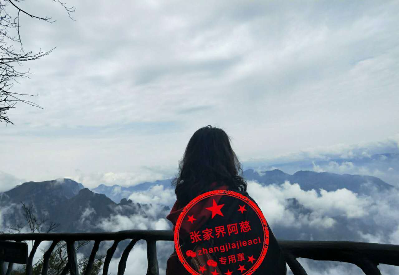 张家界玻璃栈道在哪里?