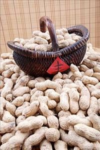 关于最新的国家对农业补贴政策,想来建设家乡