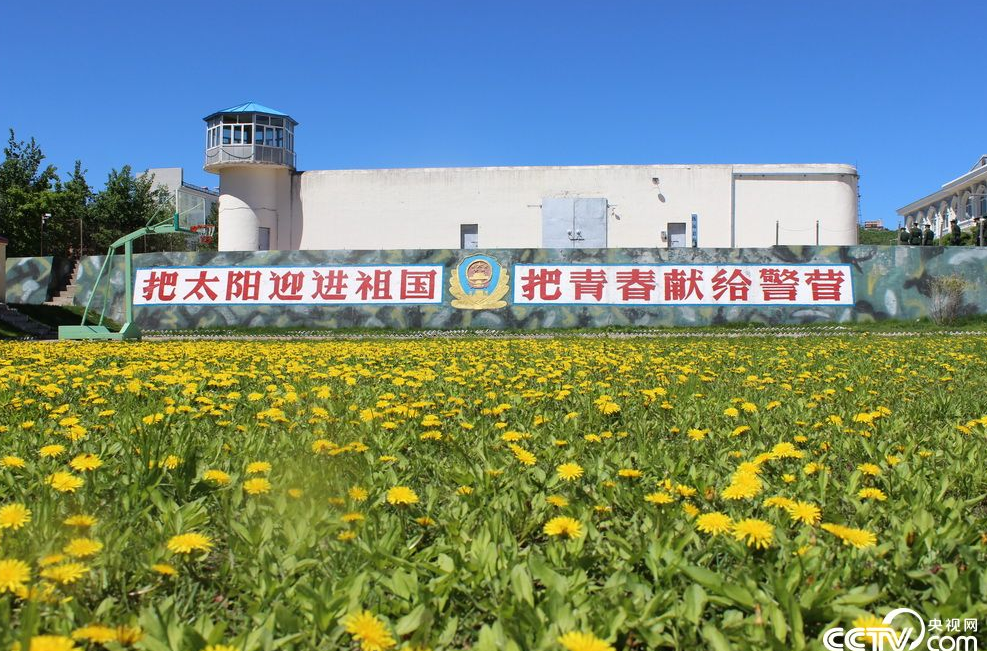 【网络媒体国防行】把太阳迎进祖国 把青春献给警营