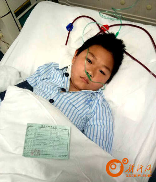 娄底11岁男孩罹患尿毒症 谁圆他重返校园的梦想?(图)