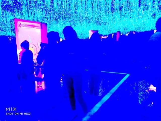 什么是北京新族 他们年收入多少 周末喜欢去哪