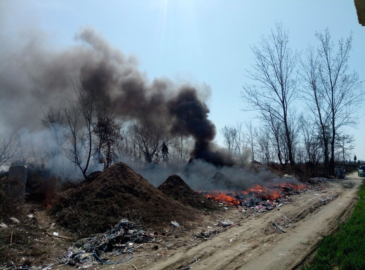 保定望都一农村焚烧塑料垃圾 黑烟数十米高