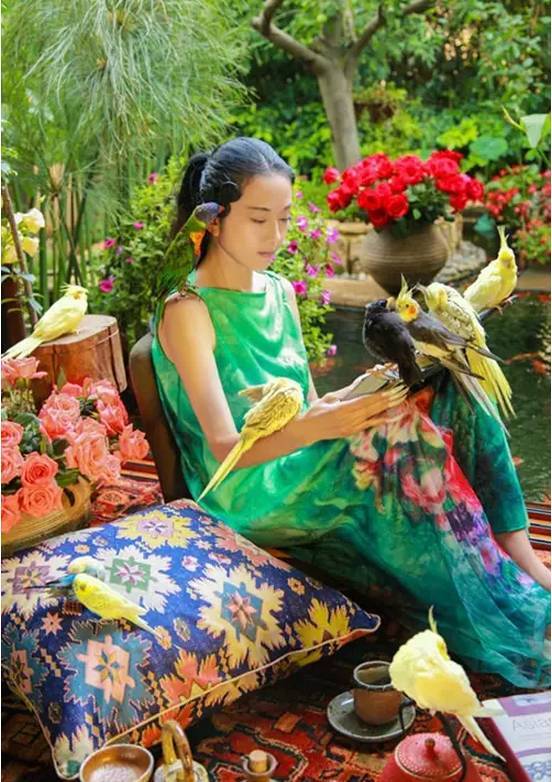 杨丽萍家的院子，果真是精致一生