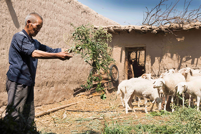 教育具有反贫困的功能--高等教育助学扶贫的