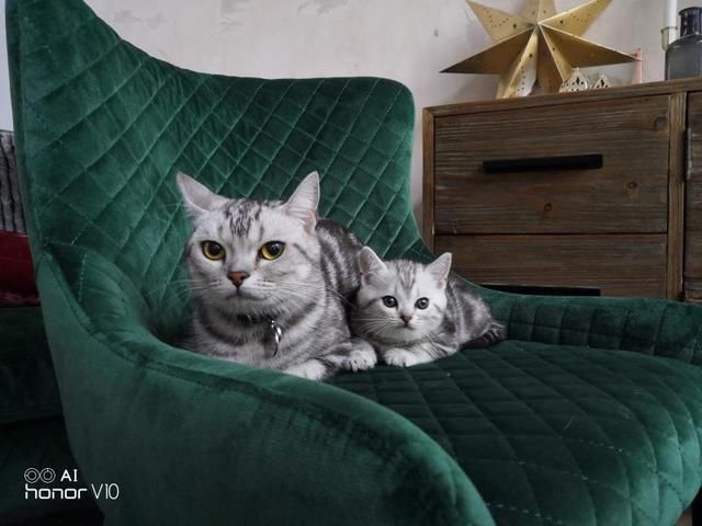 天雷滚滚的华为荣耀V10发布,Magic2离我们