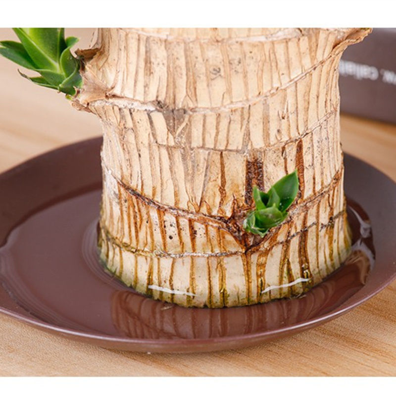 嫂子到日本旅游,把富士山的照片发朋友圈,亲戚