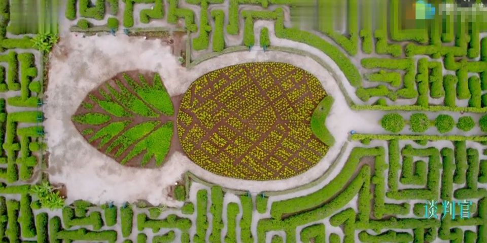 跟着《谈判官》探秘杨幂黄子韬的三日定情的夏