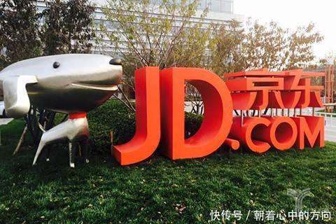 网友:京东年年亏损为什么不倒闭?网友:亏损就