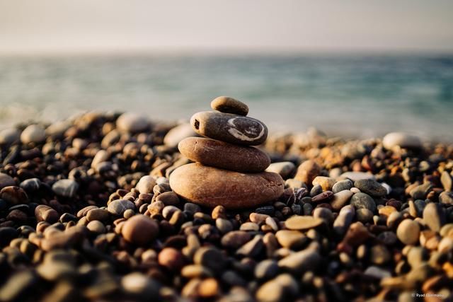 对焦迅速画质好 这支镜头为索尼微单而生