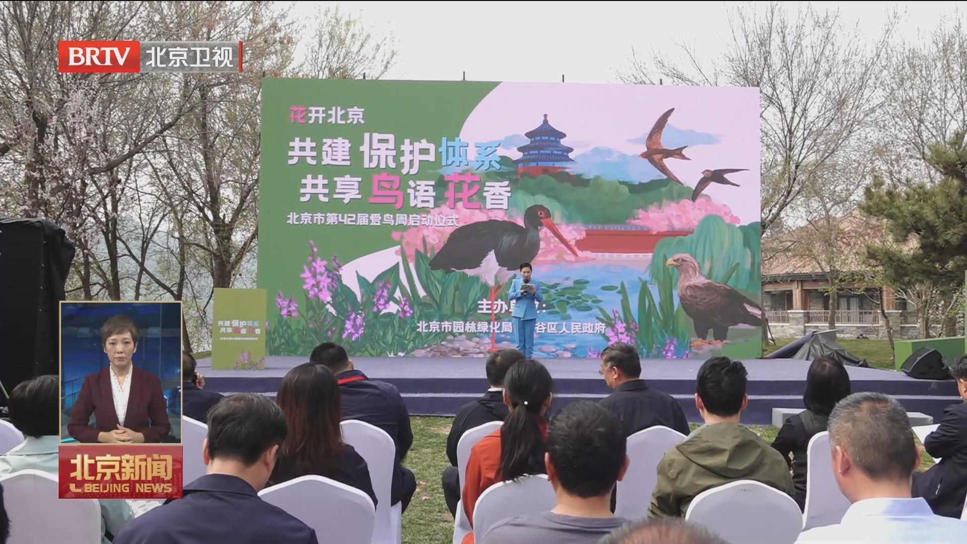 行走在春天里丨爱鸟周启动:北京新增4种野生鸟类 行走在春天里丨爱鸟周启动:北京新增4种野生鸟类