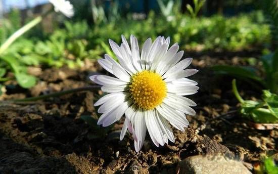 没有基础的女生学平面设计难不难?