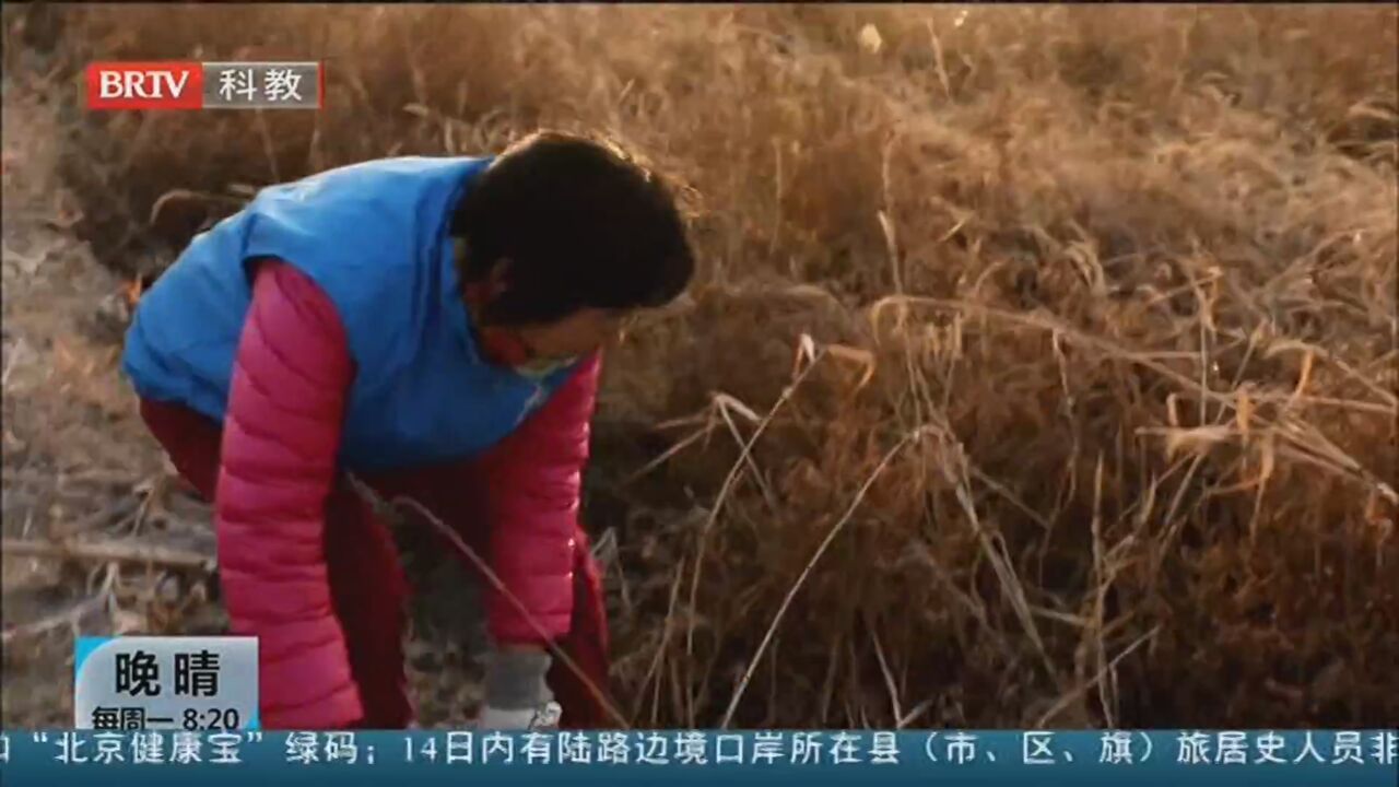 《晚晴》20211213运动者的健康“守护神”