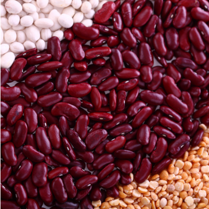 揭秘!男性十大补肾壮阳食物排行榜,男人雄风再