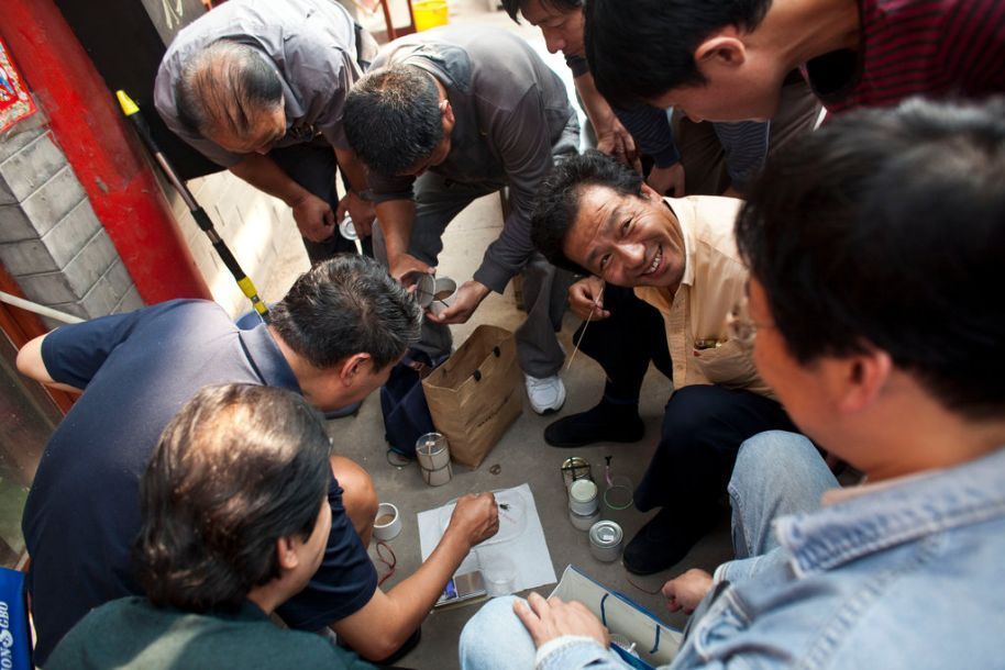 斗蛐蛐儿:中国古老的血腥运动