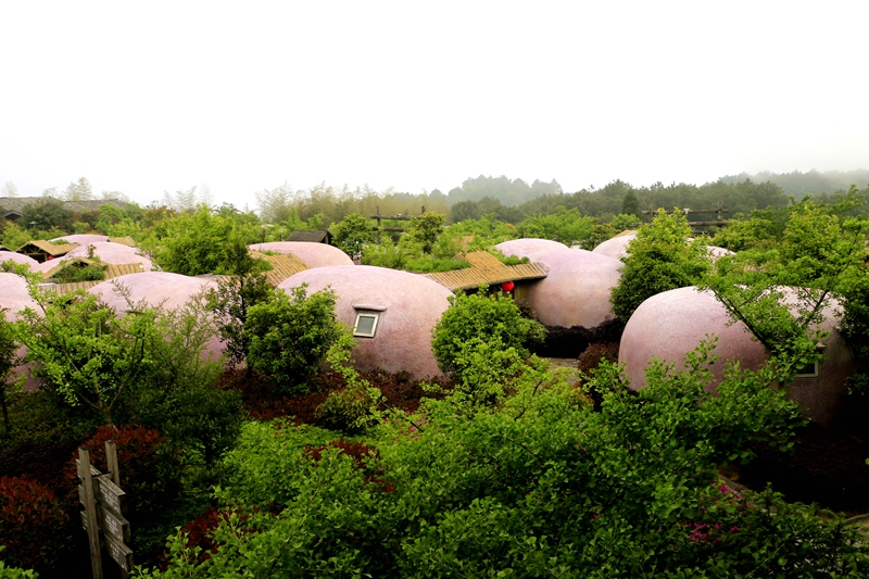 云顶蛋居,像蓝精灵的蘑菇屋一样隐藏在森林中
