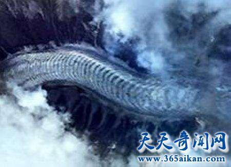 西藏上空惊现中国龙 中国不敢公开发现龙