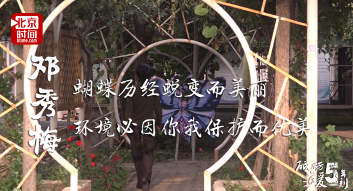 砥砺五年 温暖一刻：关了煤矿养蝴蝶 她的日子美丽又甜蜜