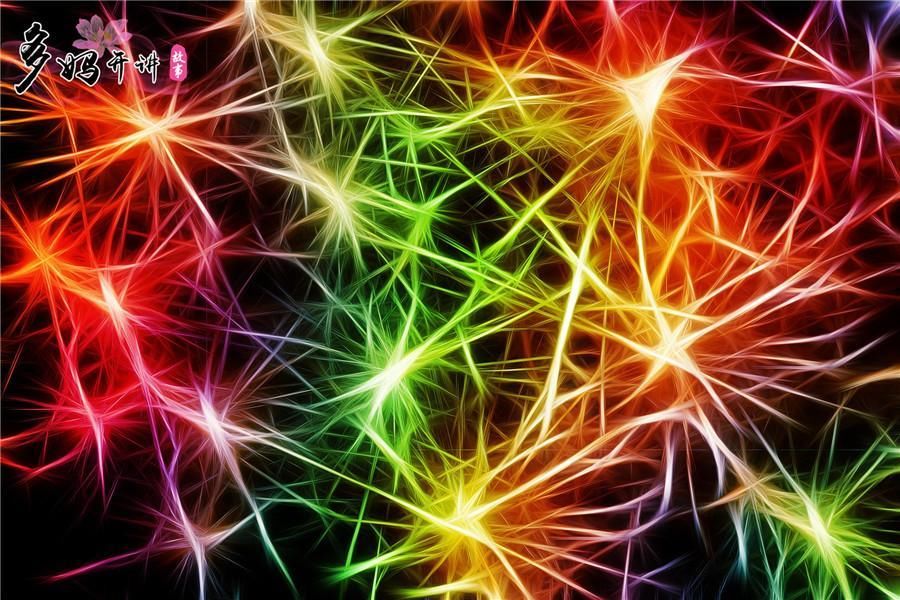 学习成绩差是智力低造成的吗?