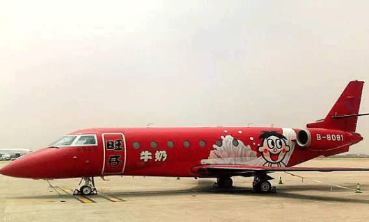 蔡衍明：蔡衍明是谁呢？很多人应该没有听过这位知名的企业家，蔡衍明它是旺旺集团的董事长，说到旺旺，在中国，恐怕没有人不知道旺旺，作为旺旺集团的董事长，蔡衍明也拥有私人飞机，据了解，蔡衍明拥有湾流G200等两架公务机，总价值达在4.98亿人民币左右。