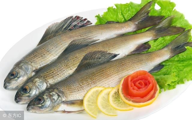 咸鱼到底还能不能吃了?吃多了真的会致癌吗?