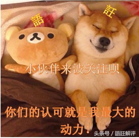 KPL:身价百万的职业选手!还是学生?EDG-M无