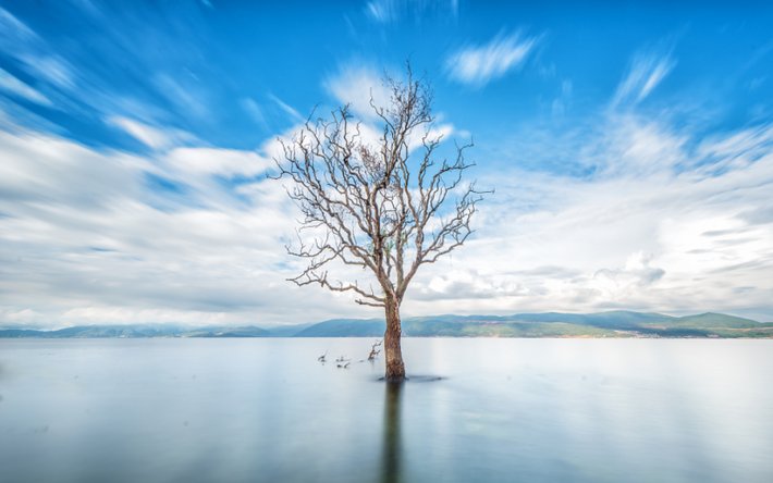 云南宰客频繁,却肆无忌惮!究竟是什么景色给这