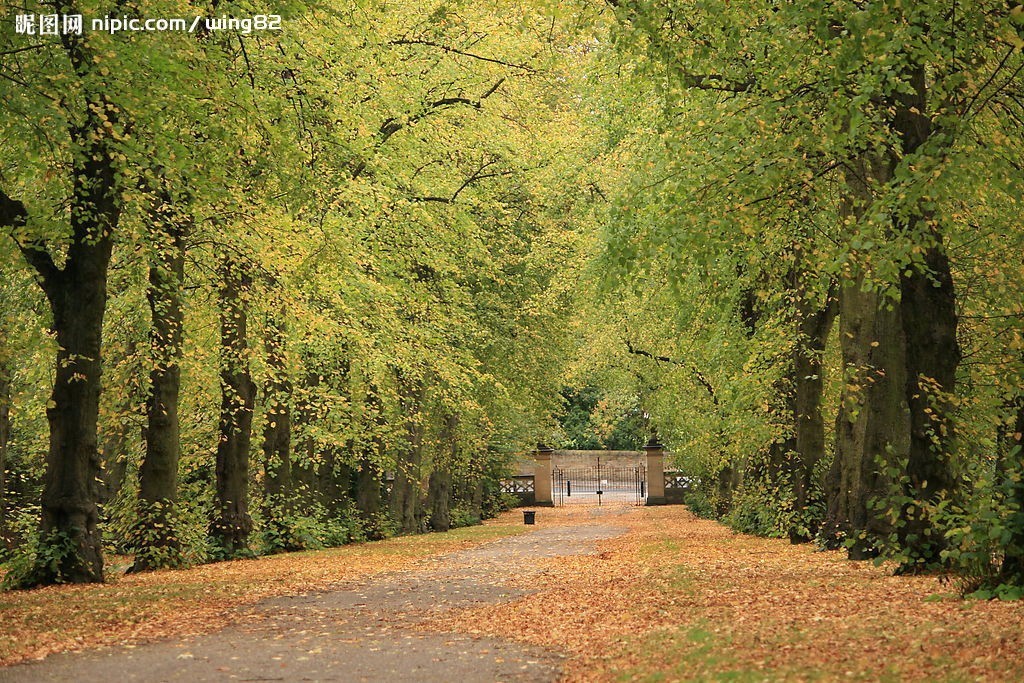 2017北京石景山区招聘社区工作者综合成绩公