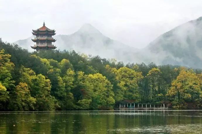 汉中这几个区县,被表扬