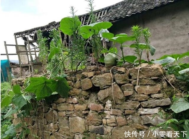 高考只考了150分的学霸,因为查了监控,学校竟