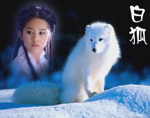 狐仙报答救女之恩,小伙却啥东西都不要,只求老狐狸答应了两个字