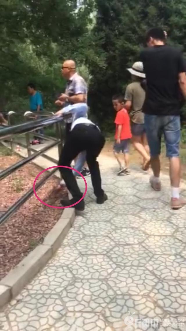 游客拿石头猛砸老虎 北京大兴野生动物园打虎
