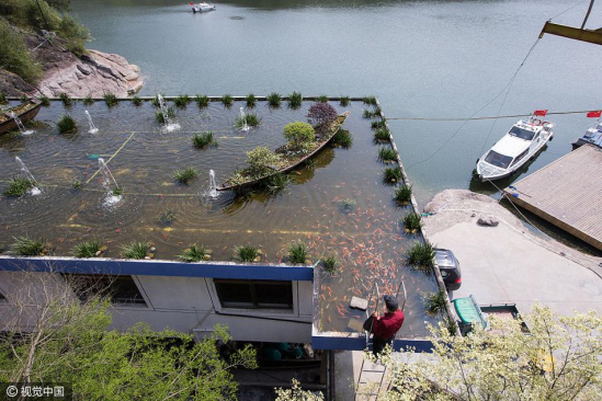 活久见!屋顶养鱼 还在屋顶建起了喷泉