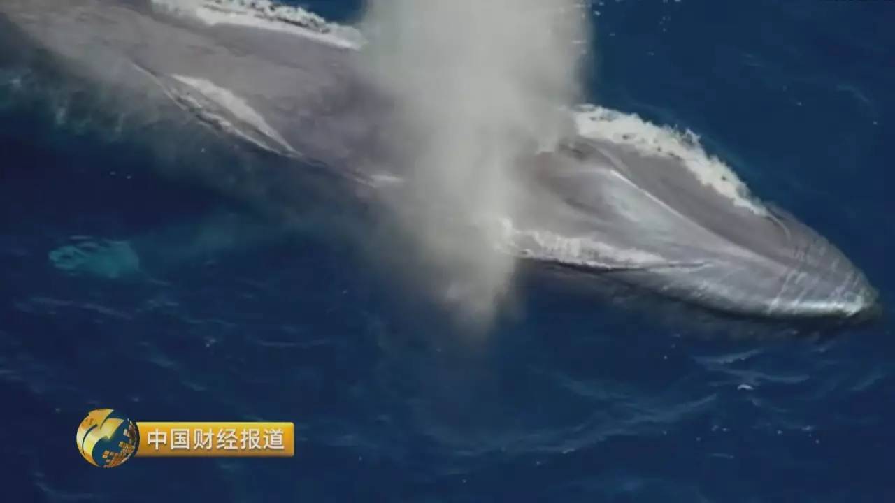 世界第一!全球最大海上钻井平台 让你大开眼界
