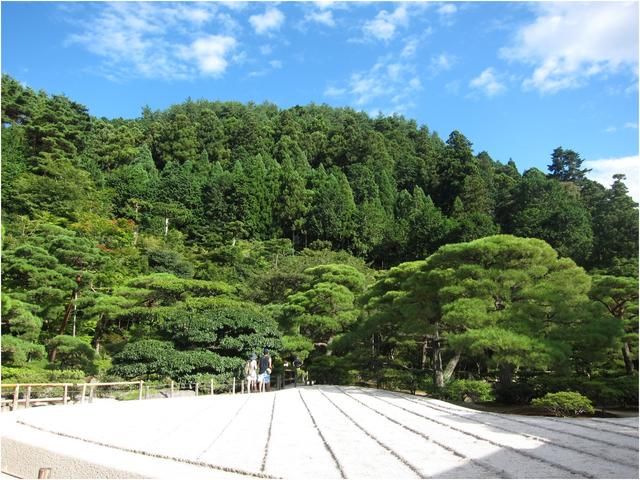 日本京都推荐神社寺庙景点,京都有哪些神社景