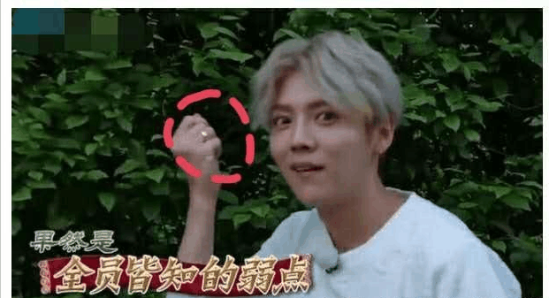 鹿晗到底喜不喜欢迪丽热巴? 十张照片告诉你答